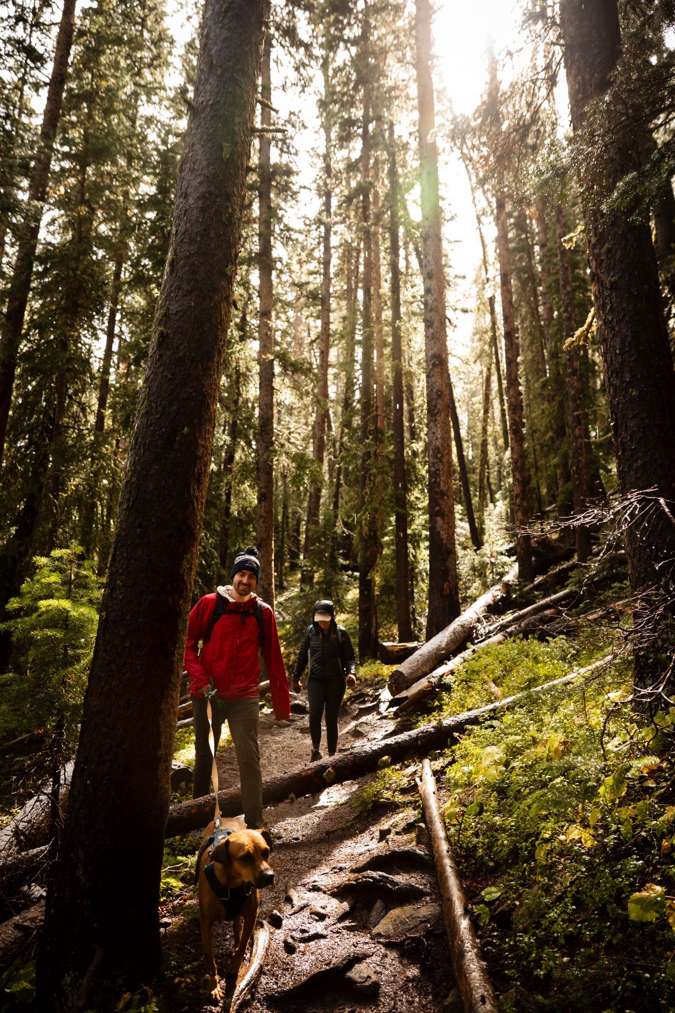 Christine and Riley walking through the forest